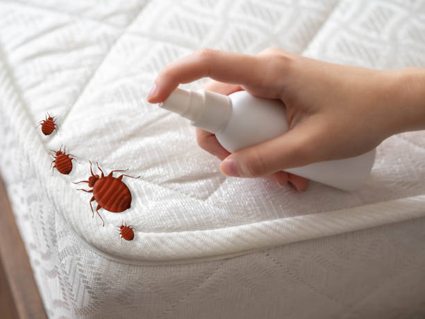 Best Pest Control for Multi-Family Homes  in Hemlock Farms, PA